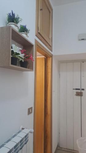 a room with a door and a shelf with plants at Trilogy b&b in Celano