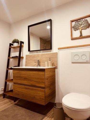 a bathroom with a sink and a toilet at Nid cosy en forêt in Blaimont