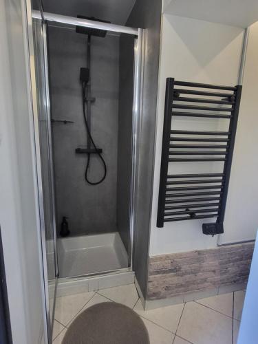 a shower stall in a bathroom with a shower at Logis des Bouchons in Morteau
