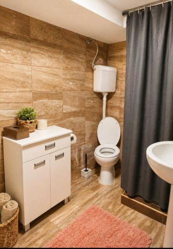 a bathroom with a toilet and a sink at Dušanovac Panorama House - veliko dvoriste, 2 rostilja, pogled na Rasku in Raška