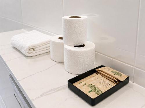 two rolls of toilet paper on a counter in a bathroom at Gościniec Piast Pokoje i Camper Park in Brzeźno