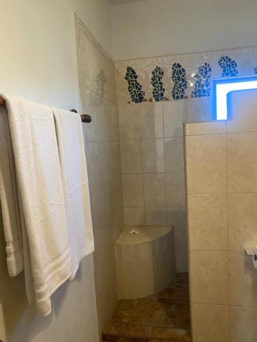 a bathroom with a shower with a toilet and towels at Casitas Las Palmas - Brisa Marina in Punta Mita