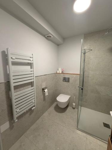a bathroom with a toilet and a shower stall at Royal Apartamenty in Bytom