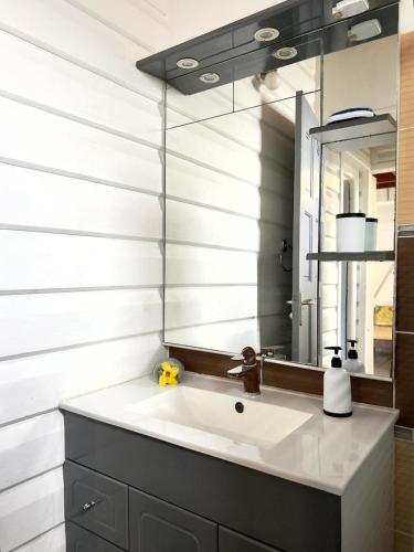 a bathroom with a sink and a mirror at Lili bungalows in Capesterre