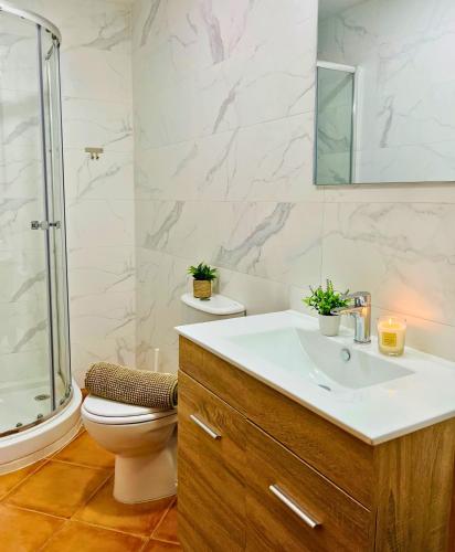 a bathroom with a sink and a toilet and a shower at Espacioso Dúplex con terraza y vistas in Aguadulce