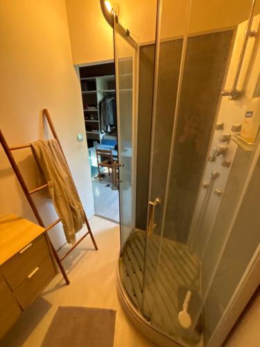 a shower with a glass door in a bathroom at Saint varent guest place in Saint-Varent
