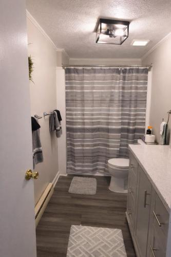 a bathroom with a shower curtain and a toilet at Cozy Mountain Rancher in Harpers Ferry