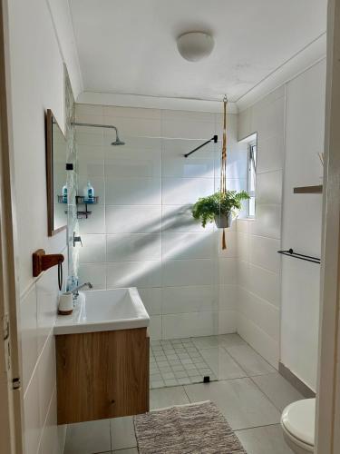 a bathroom with a sink and a shower at Spacious cottage with a private garden in Somerset West