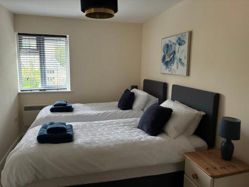 a bedroom with two beds with blue towels on them at Wookey Holiday Flat in Wookey