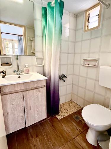a bathroom with a toilet and a sink and a shower at Xristinas Rooms in Lentas