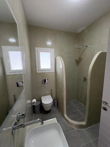 a bathroom with a sink and a shower and a toilet at NAXIAN OLIVE House in Glinado Naxos