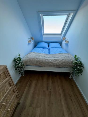 a bed in a blue room with a window at RheinStrand, wunderschöne, renovierte Wohnung in Dormagen