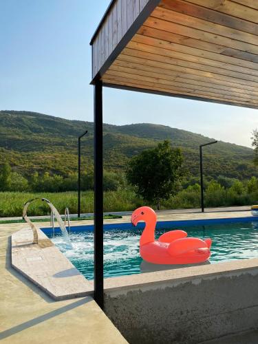 ein Schwimmbecken mit einer roten Gummiente im Wasser in der Unterkunft Iora Winery in Sagarejo
