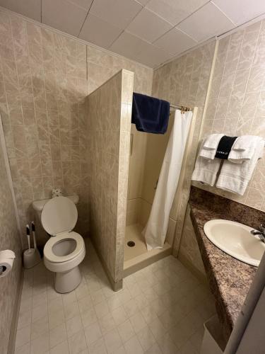 a bathroom with a toilet and a shower and a sink at Martin's Motel USA in Madawaska
