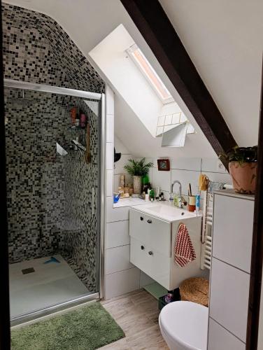 a bathroom with a shower and a sink at Les champs sauvages in Saint-Barnabé