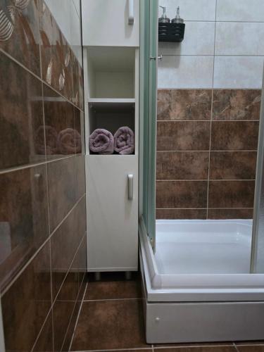 a bathroom with a shower and a bath tub with donuts at Apartman Wegele in Teslić