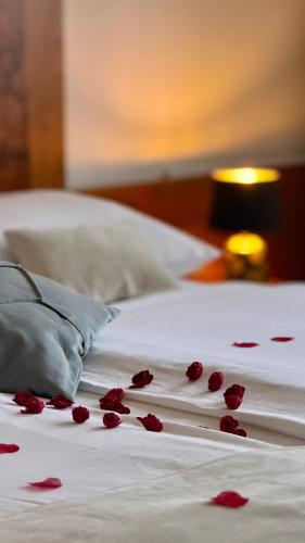 a pile of red rose petals on a bed at Hotel Exclusive in Sarajevo