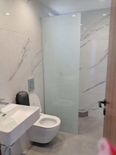 a bathroom with a white toilet and a sink at Haridimos Apartments in Tavronitis