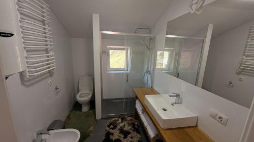 a bathroom with a sink and a shower and a toilet at Mountain apartments in Usteriki