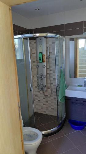 a bathroom with a shower and a toilet and a sink at Вила Зеленка - Villa Zelenka in Bŭlgarevo