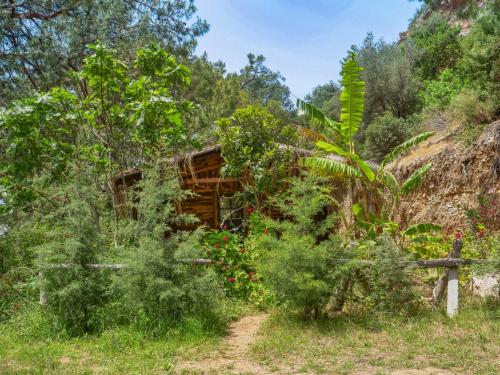 an old house in the jungle at Kidrak Camping NAMASTE in Faralya