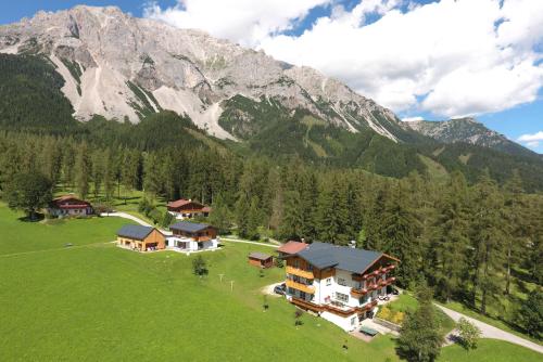 a house in a field with a mountain in the background at Alpenperle in Ramsau am Dachstein
