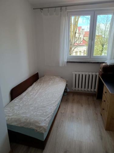 a small bedroom with a bed and a window at Apartament Kościelna, dwie oddzielne sypialnie in Białystok