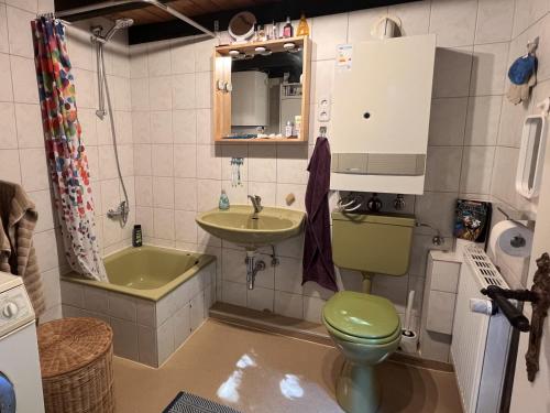 ein Badezimmer mit einer umweltfreundlichen Toilette und einem Waschbecken in der Unterkunft Datscha in Eutin