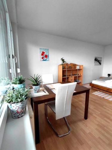 Apartment, Ferienwohnung Graz zentral