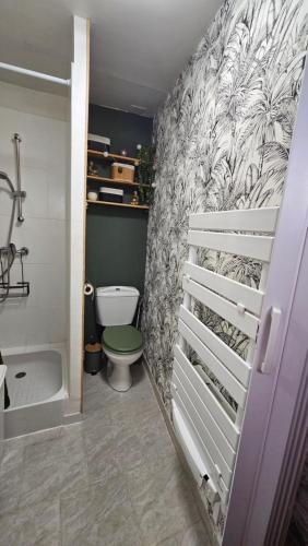 a bathroom with a toilet and a shower and a sink at Charmant studio in Vernon