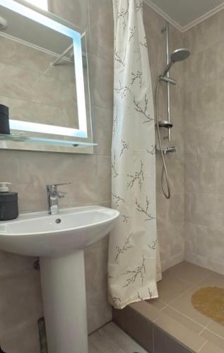 a bathroom with a sink and a shower curtain at Квітуча Гора Double Room in Lazeshchyna