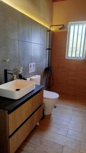 a bathroom with a sink and a toilet at Alykesbeachhouse in Drosia
