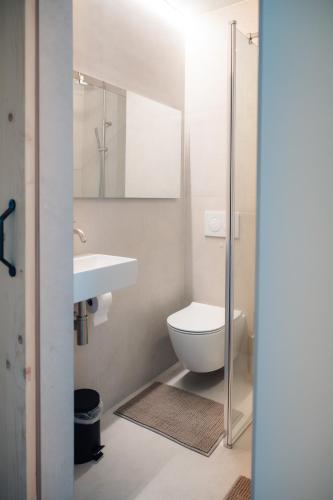 a bathroom with a toilet and a sink at Luxurious Suite - Train Station Deinze in Deinze