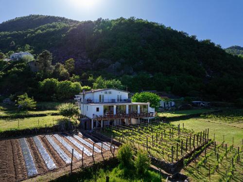 an aerial view of a house in a vineyard at Vržina Farm House Skadar Lake in Virpazar