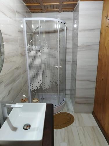 a bathroom with a shower and a white sink at Casa de vacanta 1001 De Nopti in Corbşori