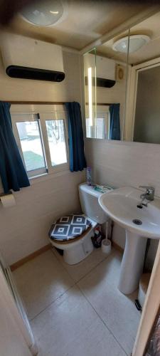 a small bathroom with a toilet and a sink at Mobile home style maisonnette de vacance in Méjannes-le-Clap