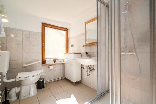 a bathroom with a toilet and a sink and a shower at Waterkieker Jabel - Ferienhaus mit Sauna & Steg in Jabel