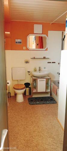 a bathroom with a toilet and a sink at Ferienhaus Medebach in Medebach