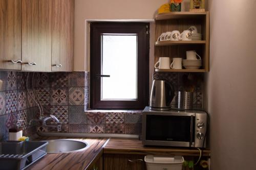 a kitchen with a sink and a microwave at Happy house in Velika Remeta