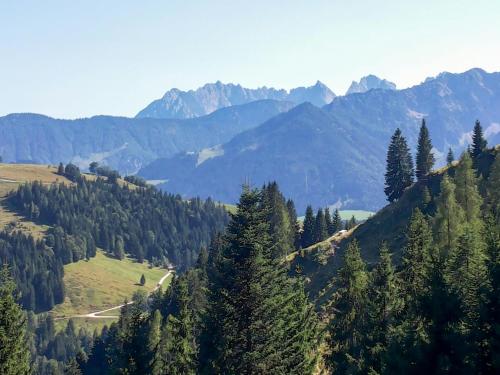 a view of a mountain with trees and mountains at Mountain House With Sauna In Sachrang in Sachrang