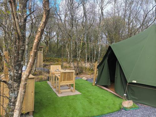 a green tent with a table and a chair at Green woodland bell tent in Ynys Station