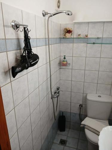 a bathroom with a shower with a toilet and a camera at villa lena πετρινο in Katákoilos