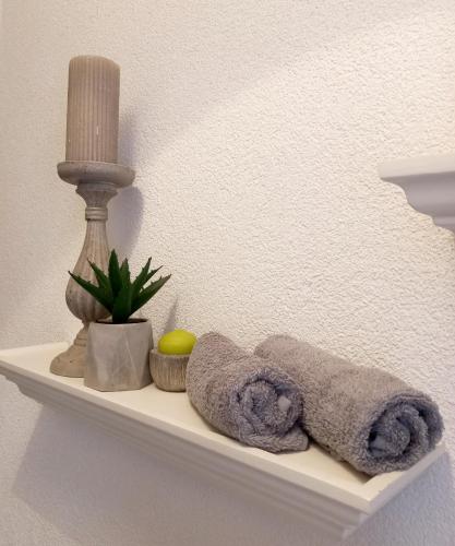 a shelf with towels and a plant on it at Apartmani Lea in Bribir