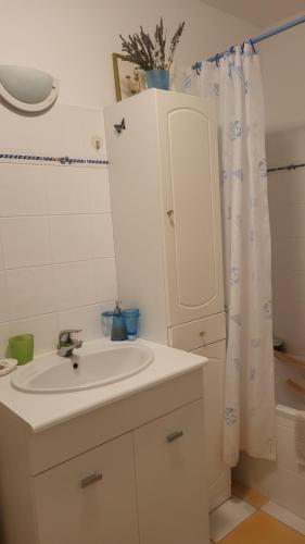 a bathroom with a sink and a shower curtain at Chambre chez l'habitant proche mer in Saujon