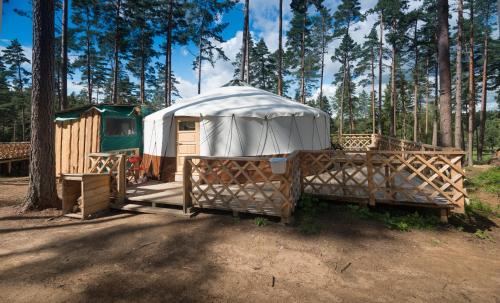 a gazebo with a white canopy in a forest at Yurtos in Gaugariai
