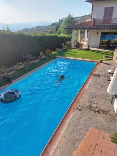 Villa Dedo