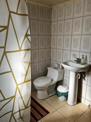 a bathroom with a toilet and a sink at Hospedaje Lala in Villarrica