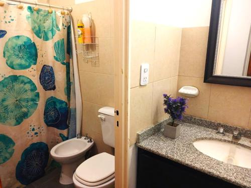 a bathroom with a toilet and a sink and a shower at El Recodo in La Rioja