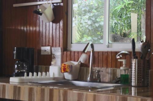 a kitchen counter with a sink and a window at Cabañas Ismasoris in Providencia