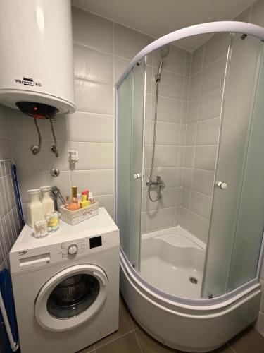 a bathroom with a washing machine and a shower at Apartman VIA in Žabljak